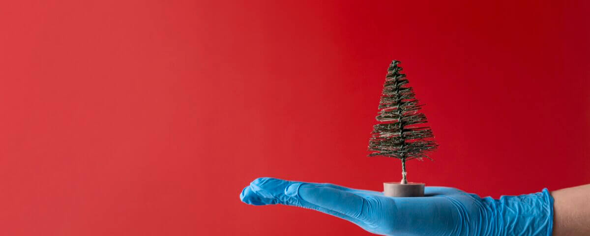 person wearing medical gloves holding tree toy scaled