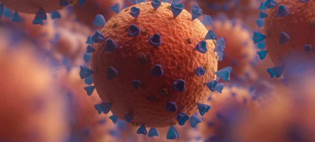papilloma virus
